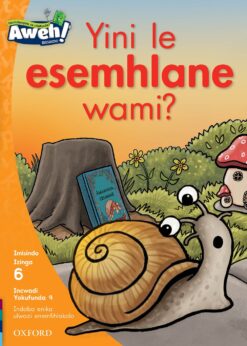 Aweh! Ibanga 2 Izinga 6 Incwadi Yokufunda 9: Yini le esemhlane wami?