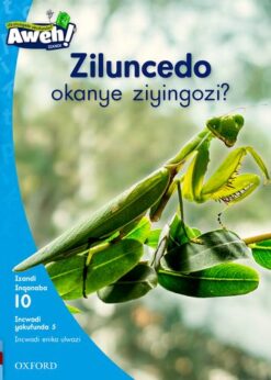 Aweh! IBanga 3 Inqanaba 10 Incwadi yokufunda 5: Ziluncedo okanye ziyingozi?