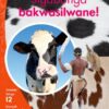 Aweh! Ibanga 3 Izinga 12 Incwadi Yokufunda 7: Siyabonga bakwasilwane!