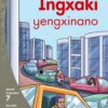Aweh! IBanga 2 Inqanaba 7 Incwadi yokufunda 6: Ingxaki yengxinano