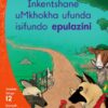 Aweh! Ibanga 3 Izinga 12 Incwadi Yokufunda 8: Inkentshane uMkhokha