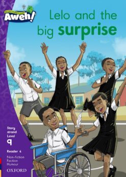 Aweh! Grade 3 Level 9 Reader 4: Lelo and the big surprise