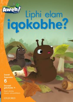 Aweh! IBanga 2 Inqanaba 6 Incwadi yokufunda 9: Liphi elam iqokobhe?