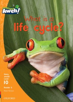 Aweh! Grade 3 Level 10 Reader 6: What is a life cycle?