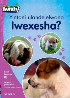 Aweh! IBanga 3 Inqanaba 9 Incwadi yokufunda 1: Yintoni ulandelelwano lwexesha?