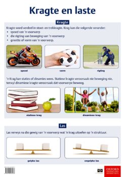 Poster Tegnologie: Kragte en laste