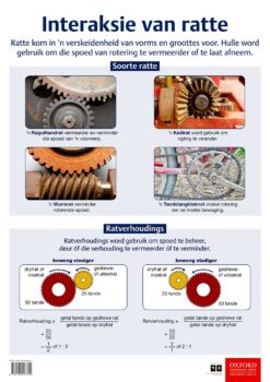 Poster Tegnologie: Interaksie van ratte