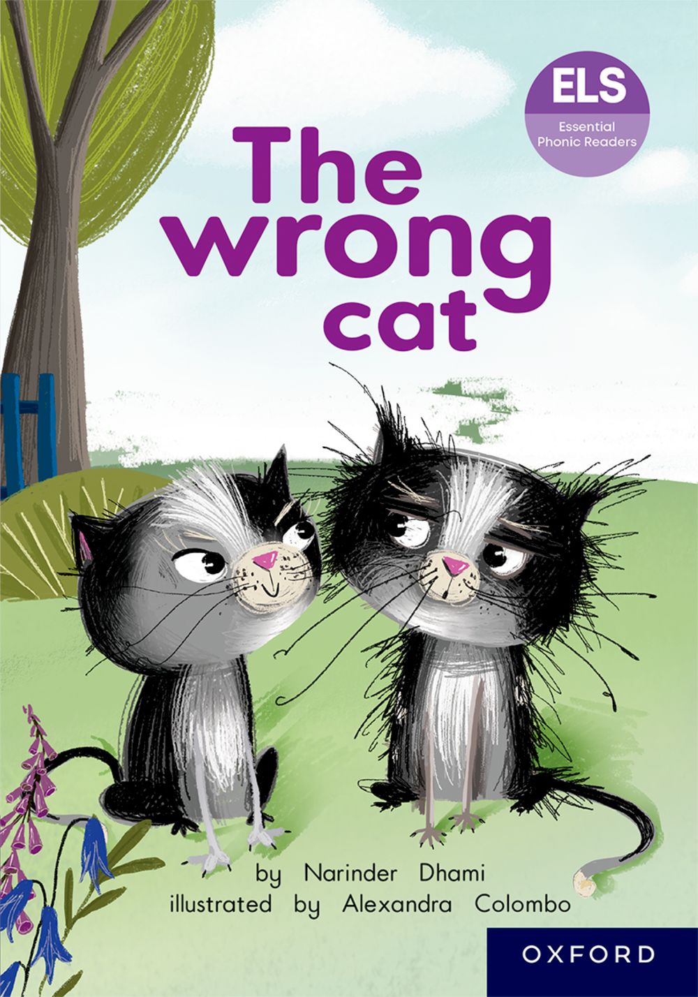 ELS Essential Phonic Reader Week 62 Review: The wrong cat