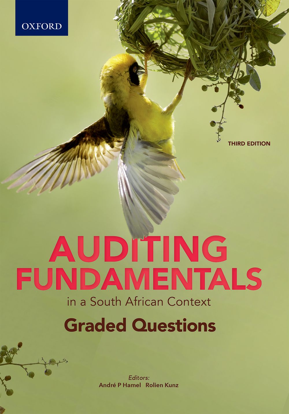 Auditing Fundamentals in a South Africa Context: Graded Question 3e