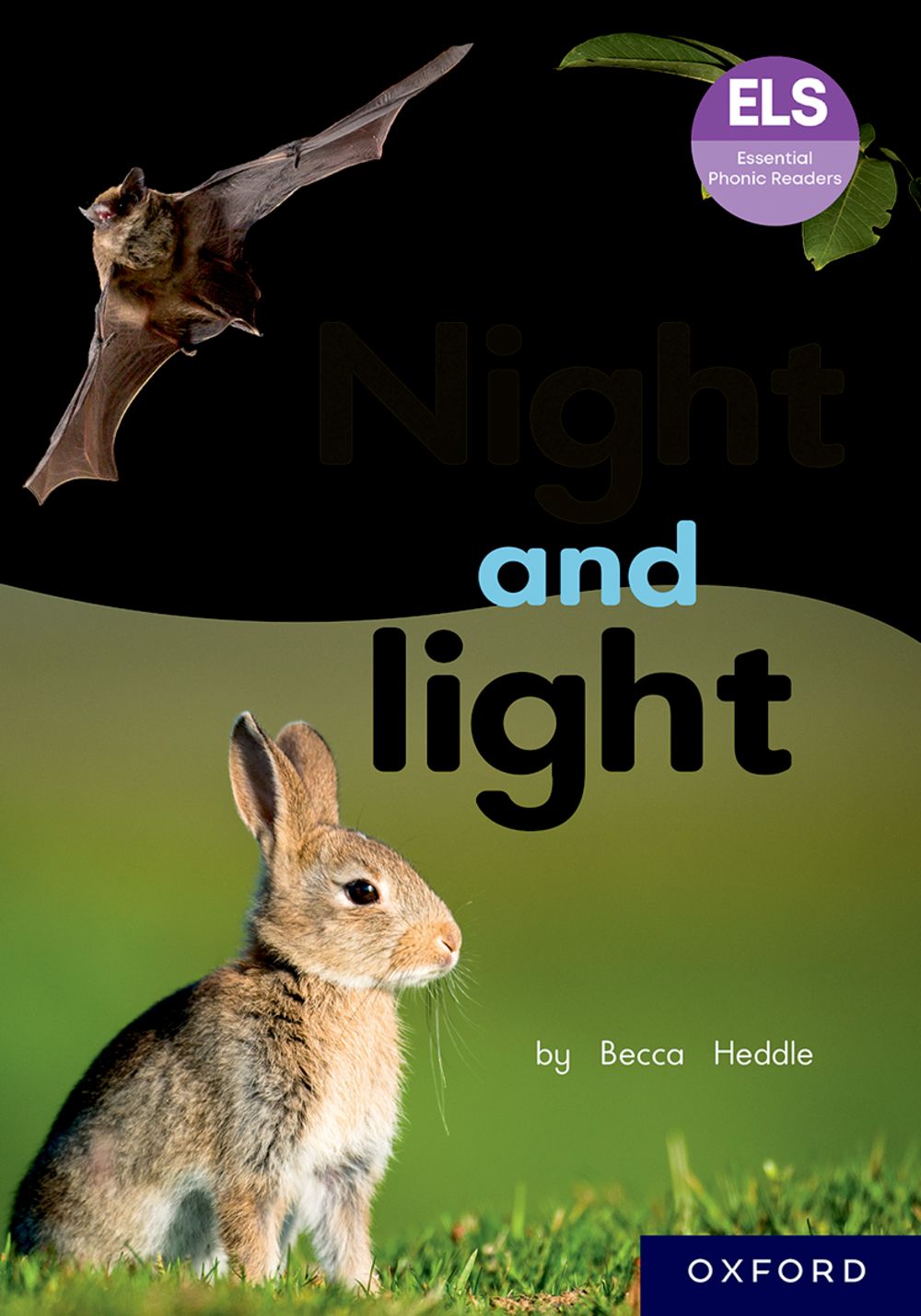 ELS Essential Phonic Reader Week 17 Review: Night and light