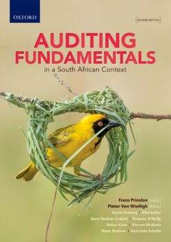 Auditing Fundamentals in a South Africa Context 2e