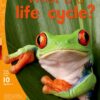 Aweh! Grade 3 Level 10 Big Book 6: What is a life cycle?