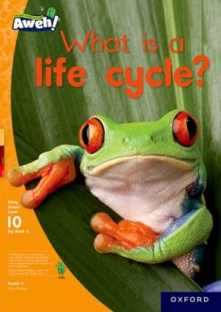 Aweh! Grade 3 Level 10 Big Book 6: What is a life cycle?