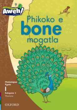 Aweh! Mophato 1 Kgato 1 Bukapuiso 2: Phikoko e bone mogatla
