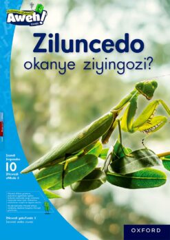 Aweh! IBanga 3 Inqanaba 10 Incwadi enkulu 2