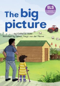 ELS Essential Phonic Reader Week 21 Review: The big picture