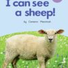 ELS Essential Phonic Reader Week 11 Review: I can see a sheep!
