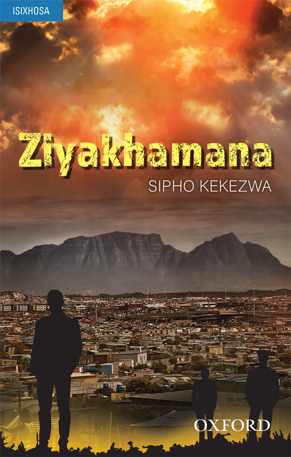 Ziyakhamana (novel) Paperback