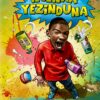 Ngenxa Yezinduna Ibanga 8(novel) Paperback