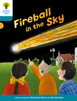 Oxford Reading Tree: Level 9 Decode & Develop Fireball In the Sky