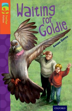 Oxford Reading Tree: Treetops Level 13 Fiction Waiting for Goldie