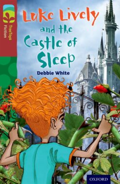 Oxford Reading Tree Treetops Fiction Level 15 More Pack A Luke Lively and the Castle of Sleep