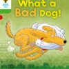 Oxford Reading Tree Stage 2 Stories What a Bad Dog