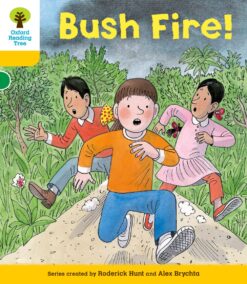 Oxford Reading Tree Stage 5 Decode & Develop Book 3: Bush Fire!