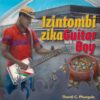 Izintombi ZikaGuitar Boy (novel)