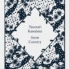 Snow Country - 9780241597361
