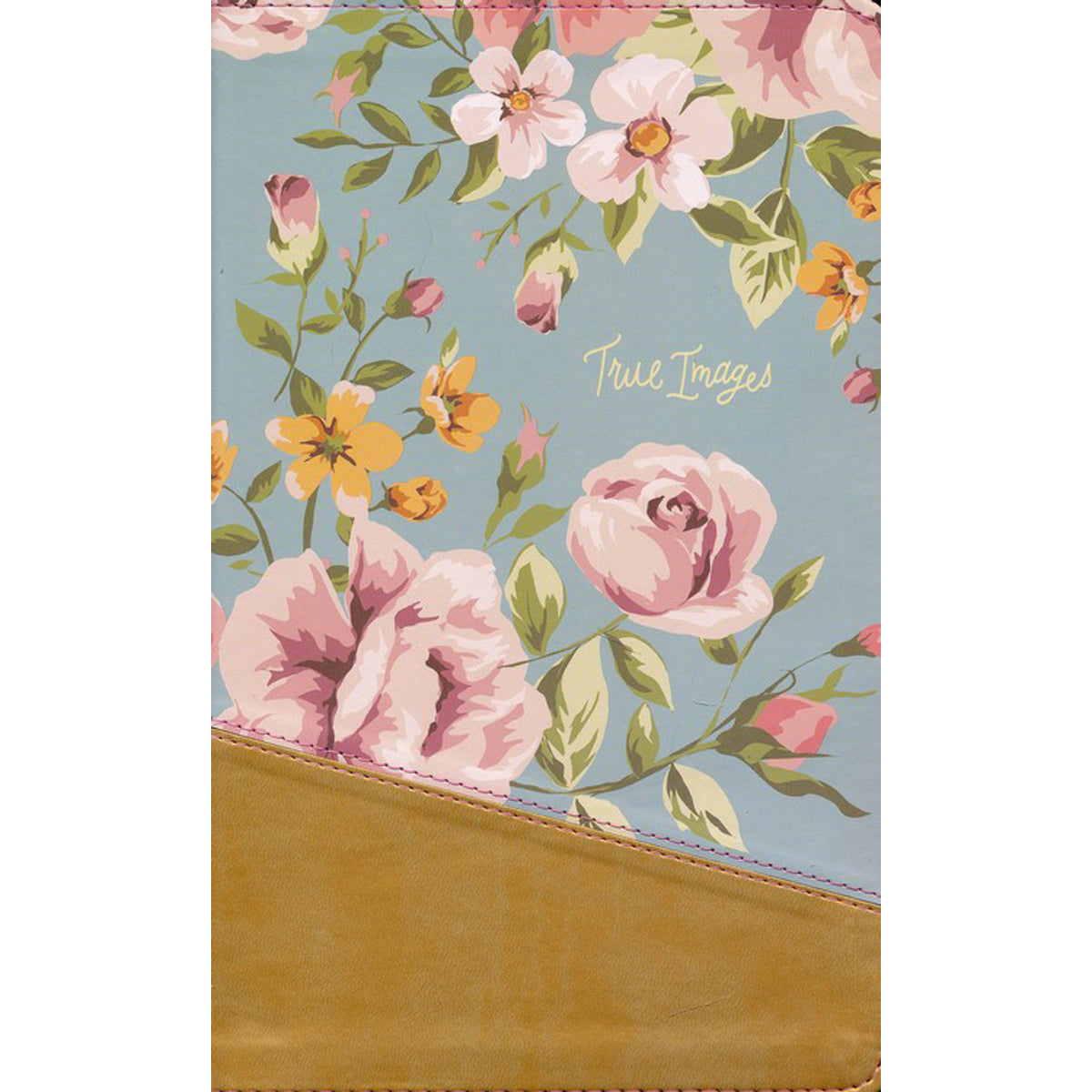 NIV True Images Bible Blue / Gold (Imitation Leather)