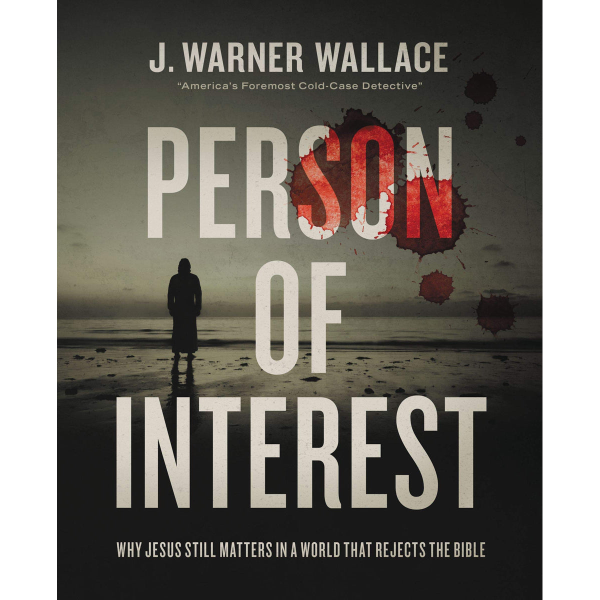 Person Of Interest: Why Jesus Still Matters In A World That Rejects The Bible (Paperback)