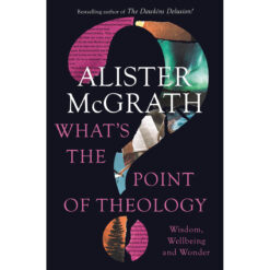 What's The Point Of Theology?: Wisdom, Wellbeing And Wonder (Paperback)