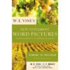 W. E. Vine's New Testament Word Pictures: Romans To Philemon Commentary (Paperback)