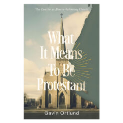 What It Means to Be Protestant: The Case for an Always-Reforming Church (Paperback)