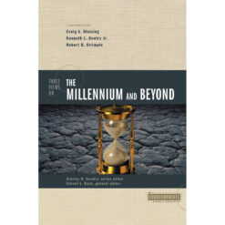 Three Views On The Millennium And Beyond (Paperback)