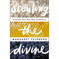 Scouting The Divine (Paperback)