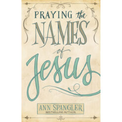 Praying The Names Of Jesus (Paperback)