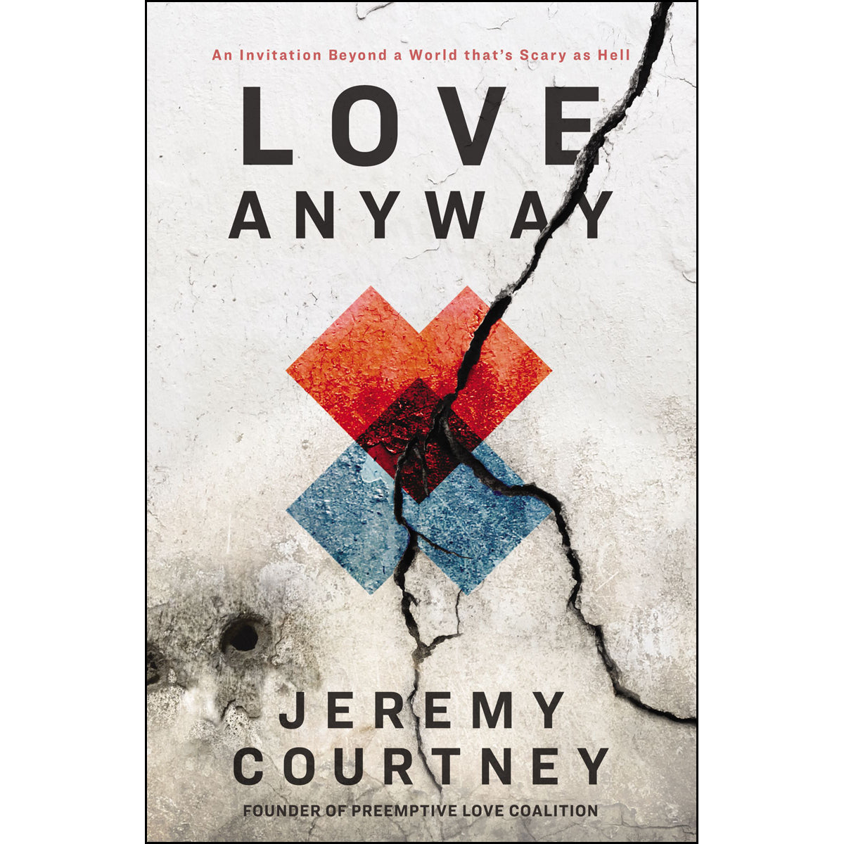 Love Anyway (Paperback)