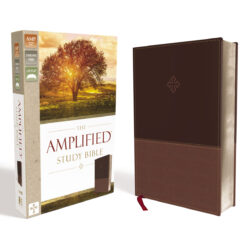 Amplified Study Bible Brown (Imitation Leather)