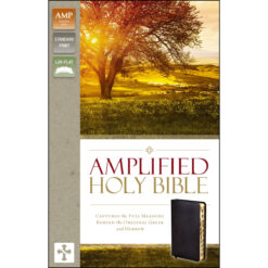 Amplified Holy Bible Indexed Black (Bonded Leather)