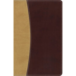 Amplified Compact Holy Bible Camel / Burgundy (Imitation Leather)
