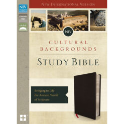 NIV Cultural Backgrounds Study Bible Indexed Black (Imitation Leather)