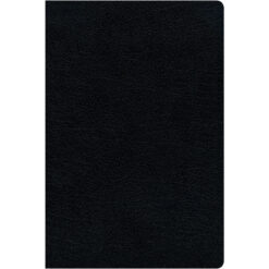 KJV / Amplified Parallel Bib Large Print Red Letter Edt Black (Bonded Leather)