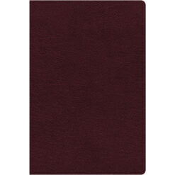 NIV Thinline Reference Red Letter Burgundy (Comfort Print)(Bonded Leather)