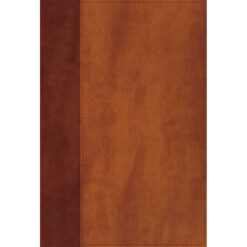 NIV Giant Print Compact Bible Red Letter Edition Brown (Comfort Print)(Imitation Leather)