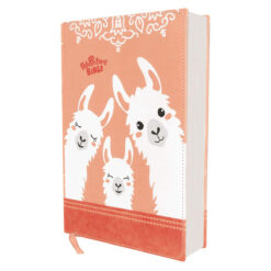 NIRV Adventure Bible For Early Readers Coral (Imitation Leather)