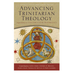 Advancing Trinitarian Theology: Explorations in Constructive Dogmatics (Paperback)