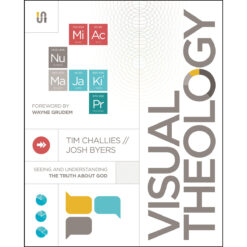 Visual Theology (Paperback)