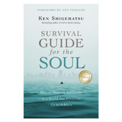 Survival Guide For The Soul (Paperback)